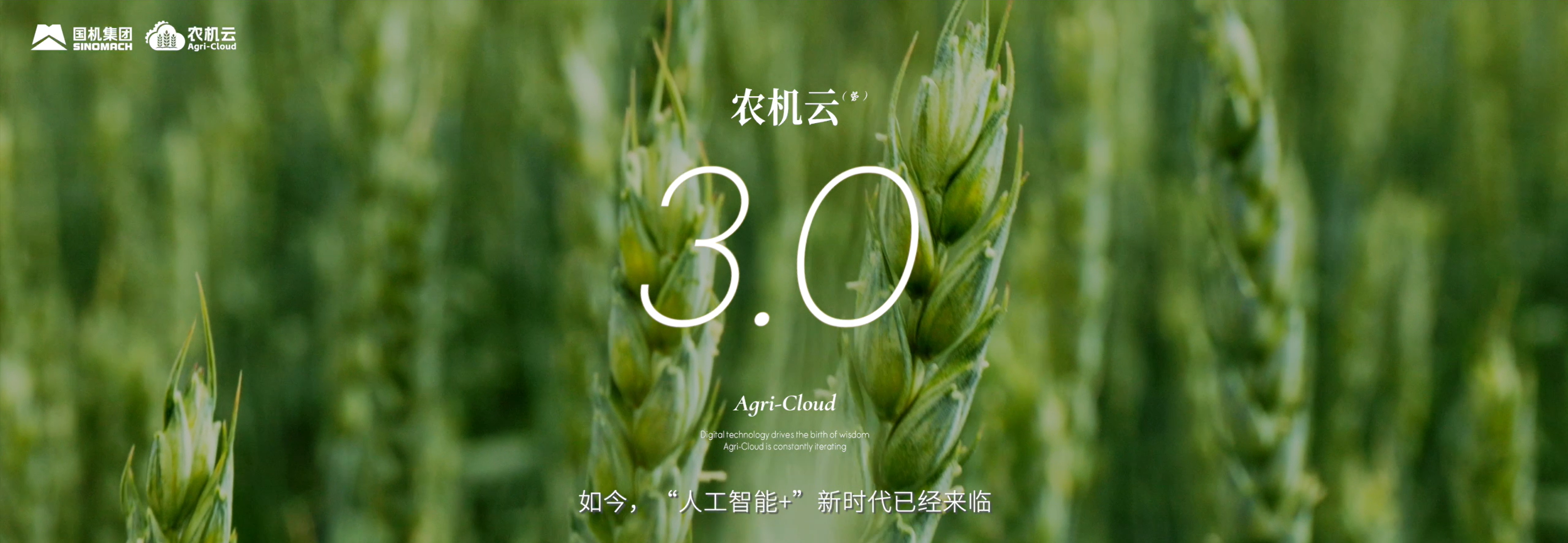 1a5afc8a3f25c2abd2fdfa85f2a232ee.png
